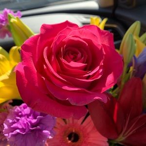 Meet your Posher, Brittani